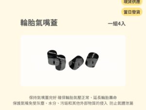 Model Y 煥新版 輪胎氣嘴蓋（四件組）