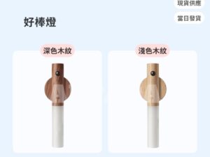 Model Y 煥新版 好棒燈